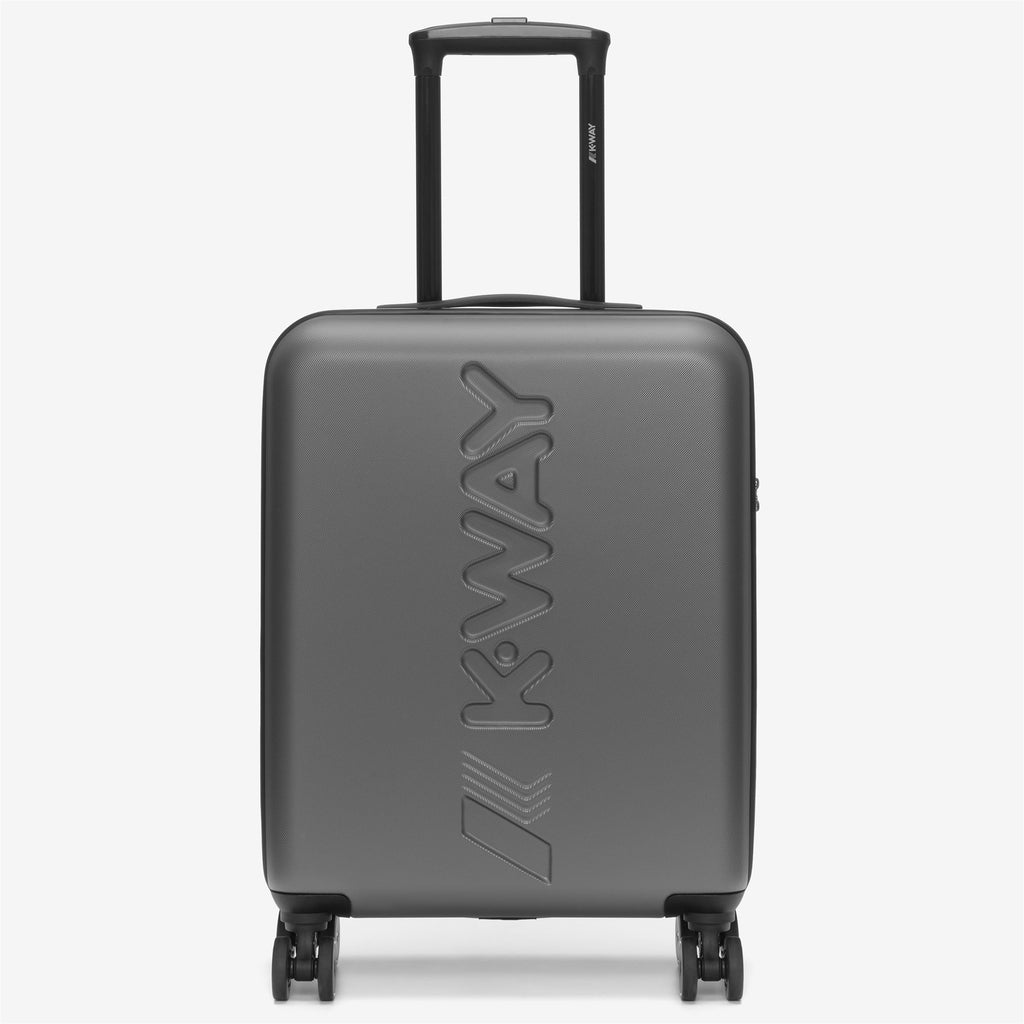 Luggage Bags_UNISEX_TROLLEY SMALL_Trolley_Metallic Grey - Blue Md Cobalt - Commercial 1
