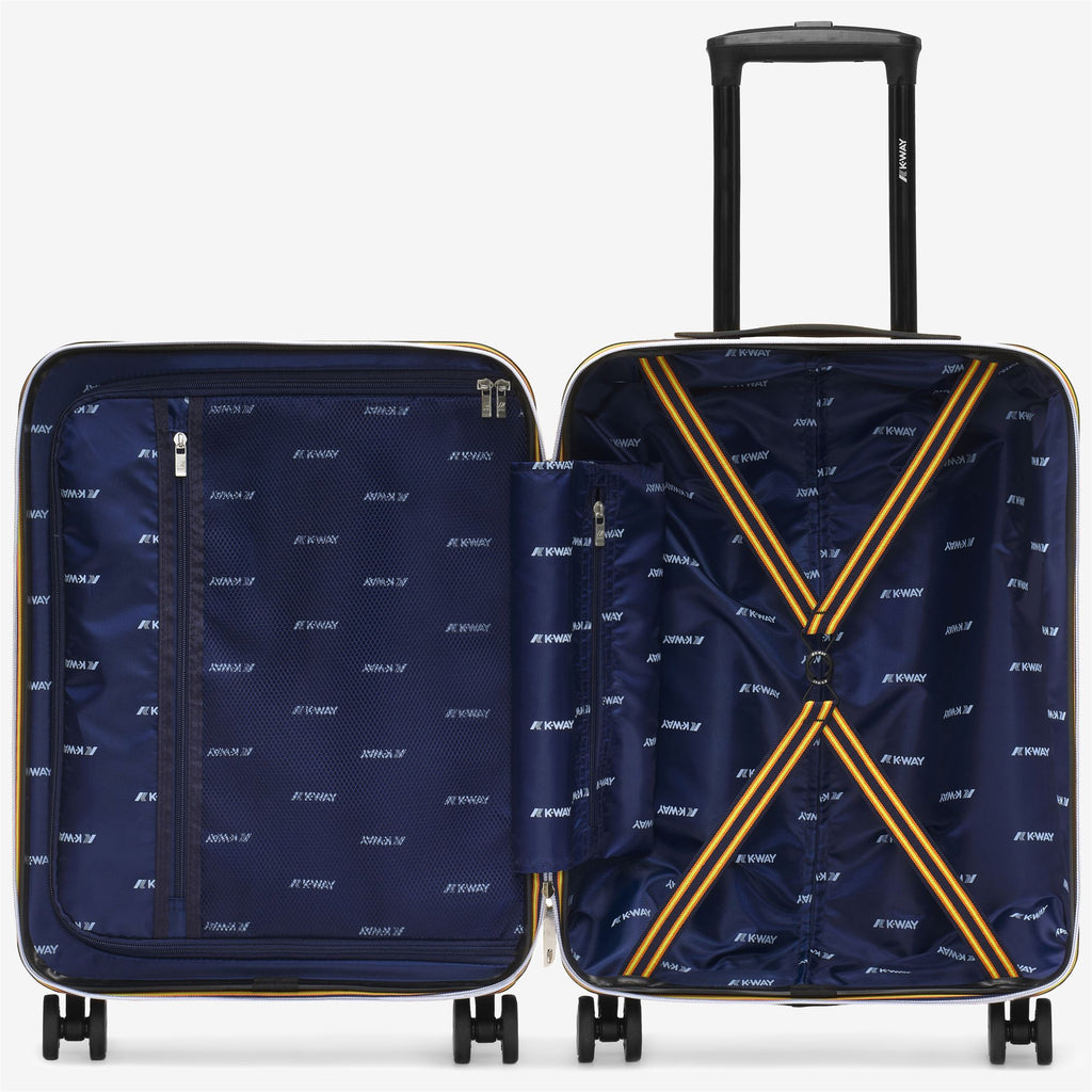 Luggage Bags_UNISEX_TROLLEY SMALL_Trolley_Metallic Grey - Blue Md Cobalt - Commercial 3