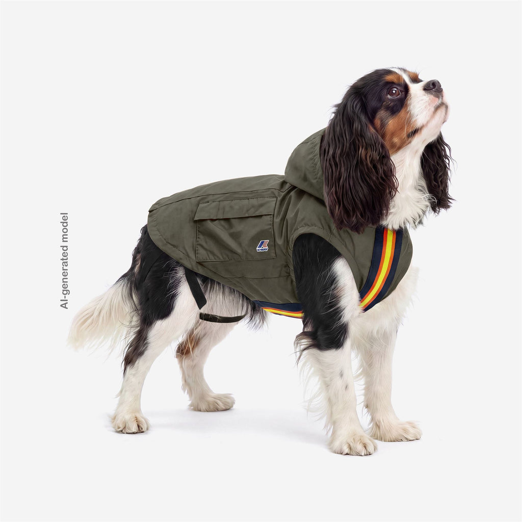 Jackets_UNISEX_LASSIE_Dog Coat_Green Lichen - Commercial 6