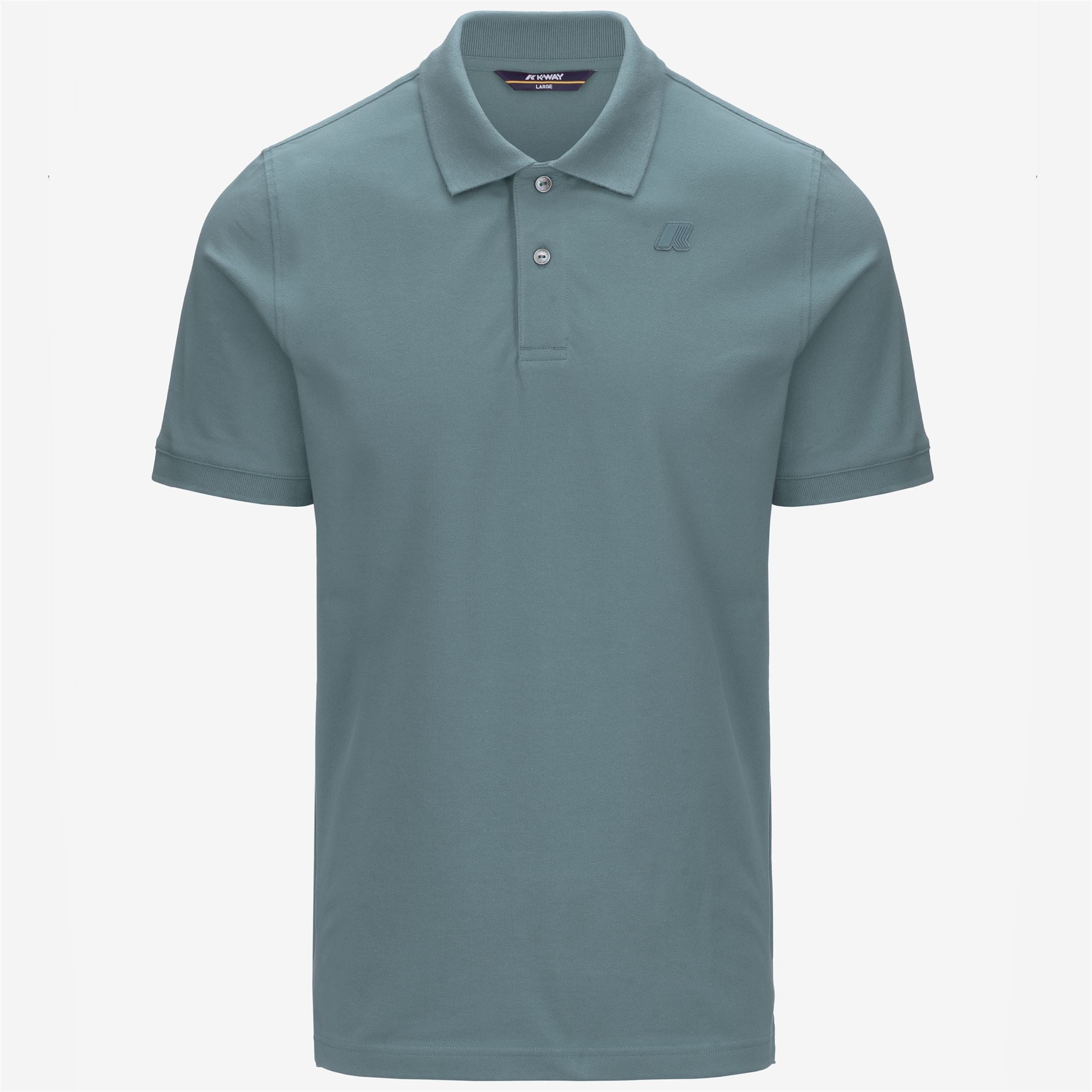 Polo Shirts_MAN_AMEDEE PIQUE_Polo_Green Iron - Commercial 1