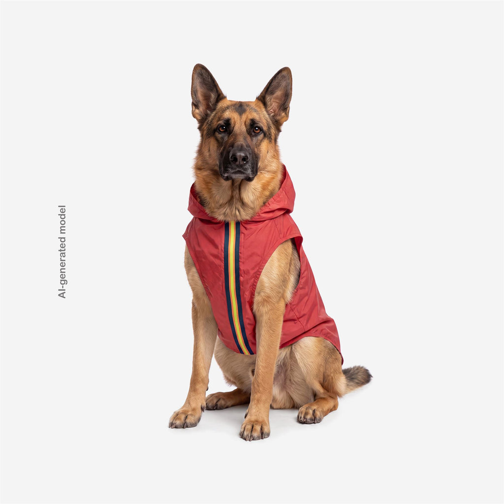 Jackets_UNISEX_BUDDY_Dog Coat_Red Jasper - Commercial 4