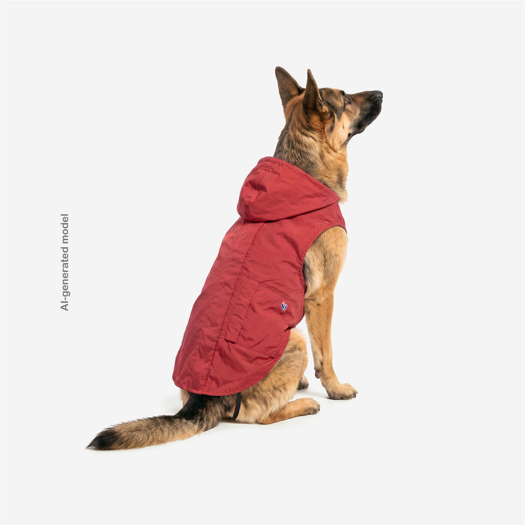 Jackets_UNISEX_BUDDY_Dog Coat_Red Jasper - Commercial 5