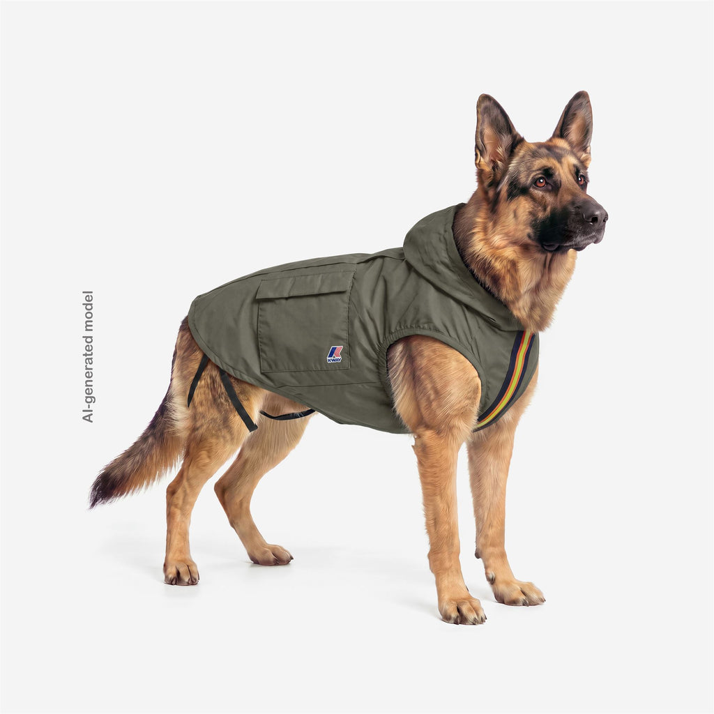 Jackets_UNISEX_BUDDY_Dog Coat_Green Lichen - Commercial 6